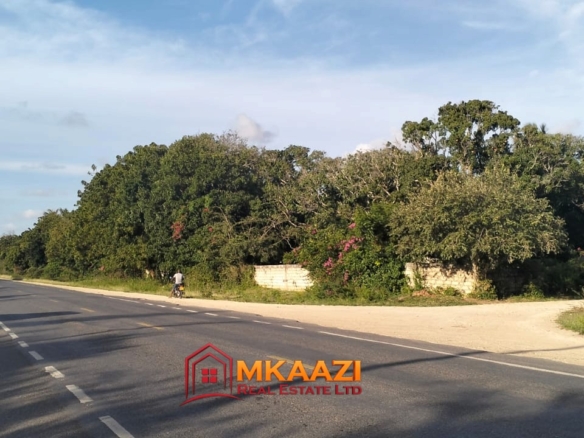 Quarter-Acre Plot for Sale in Kizingo, Watamu – On Tarmac | KES 3M