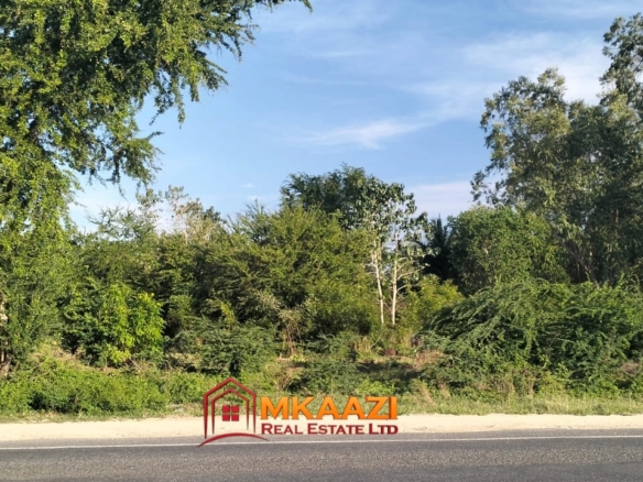 Quarter-Acre Plot for Sale in Kizingo, Watamu – On Tarmac | KES 3M