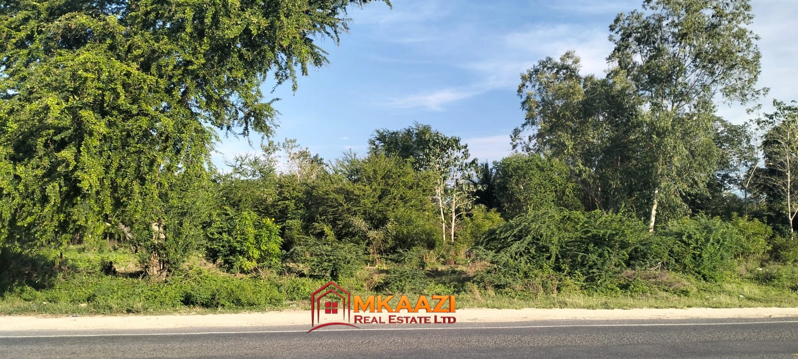 Watamu Kizingo (5) Quarter-Acre Plot for Sale in Kizingo, Watamu – On Tarmac | KES 3M