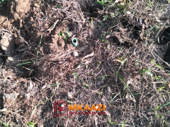 Quarter-Acre Plot for Sale in Kizingo, Watamu – On Tarmac | KES 3M