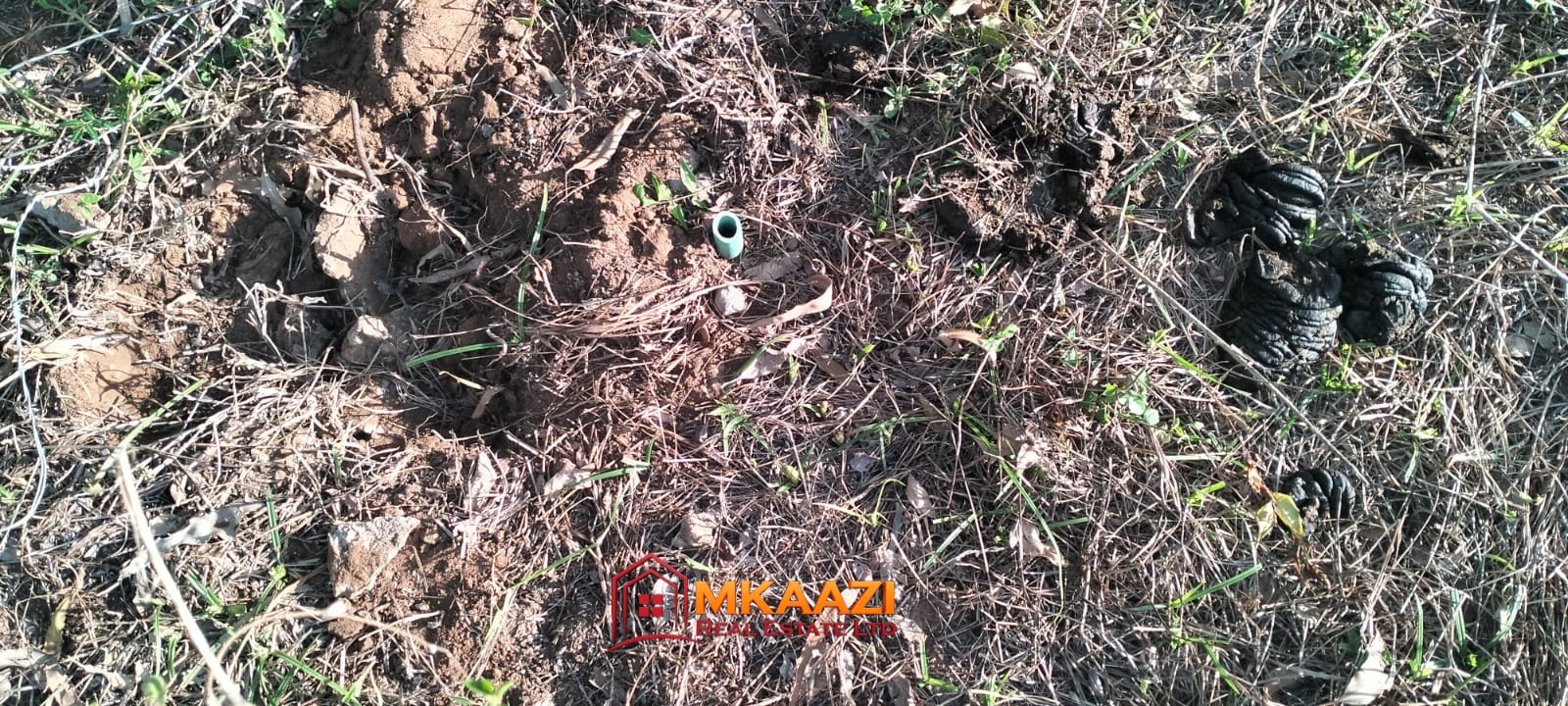 Watamu Kizingo (6) Quarter-Acre Plot for Sale in Kizingo, Watamu – On Tarmac | KES 3M