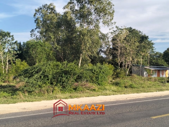Quarter-acre plot for sale in Kizingo, Watamu close to tarmac with mature trees and marked beacons
