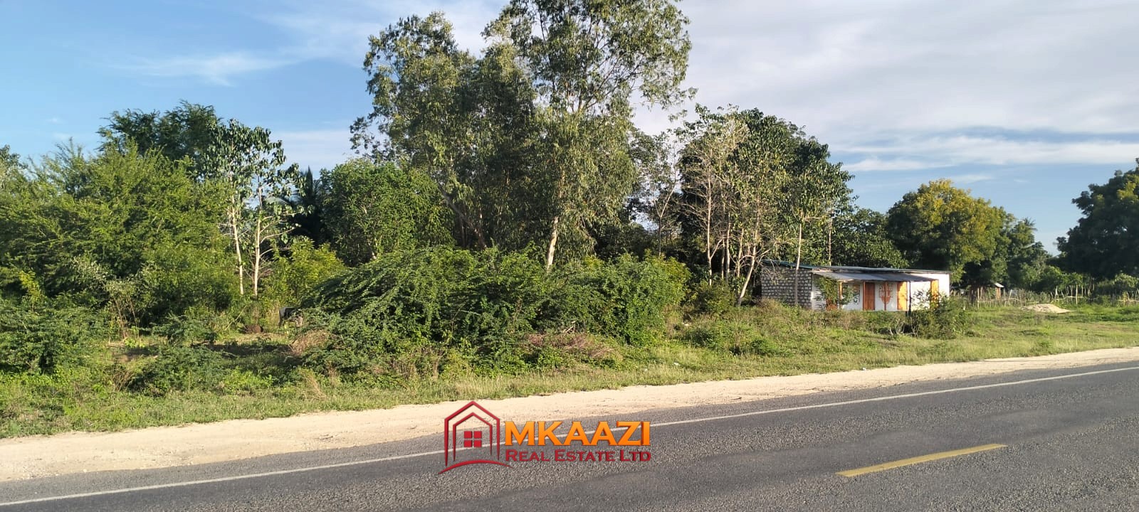 Quarter-acre plot for sale in Kizingo, Watamu close to tarmac with mature trees and marked beacons