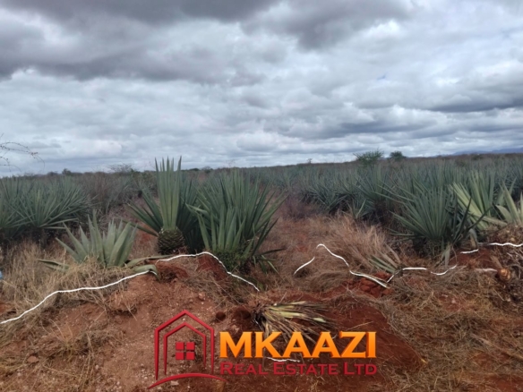 2000 Acres Msa Road frontage for sale in VOi