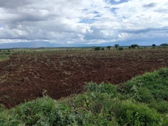 Freehold land for sale in Kimana with scenic Mount Kilimanjaro views