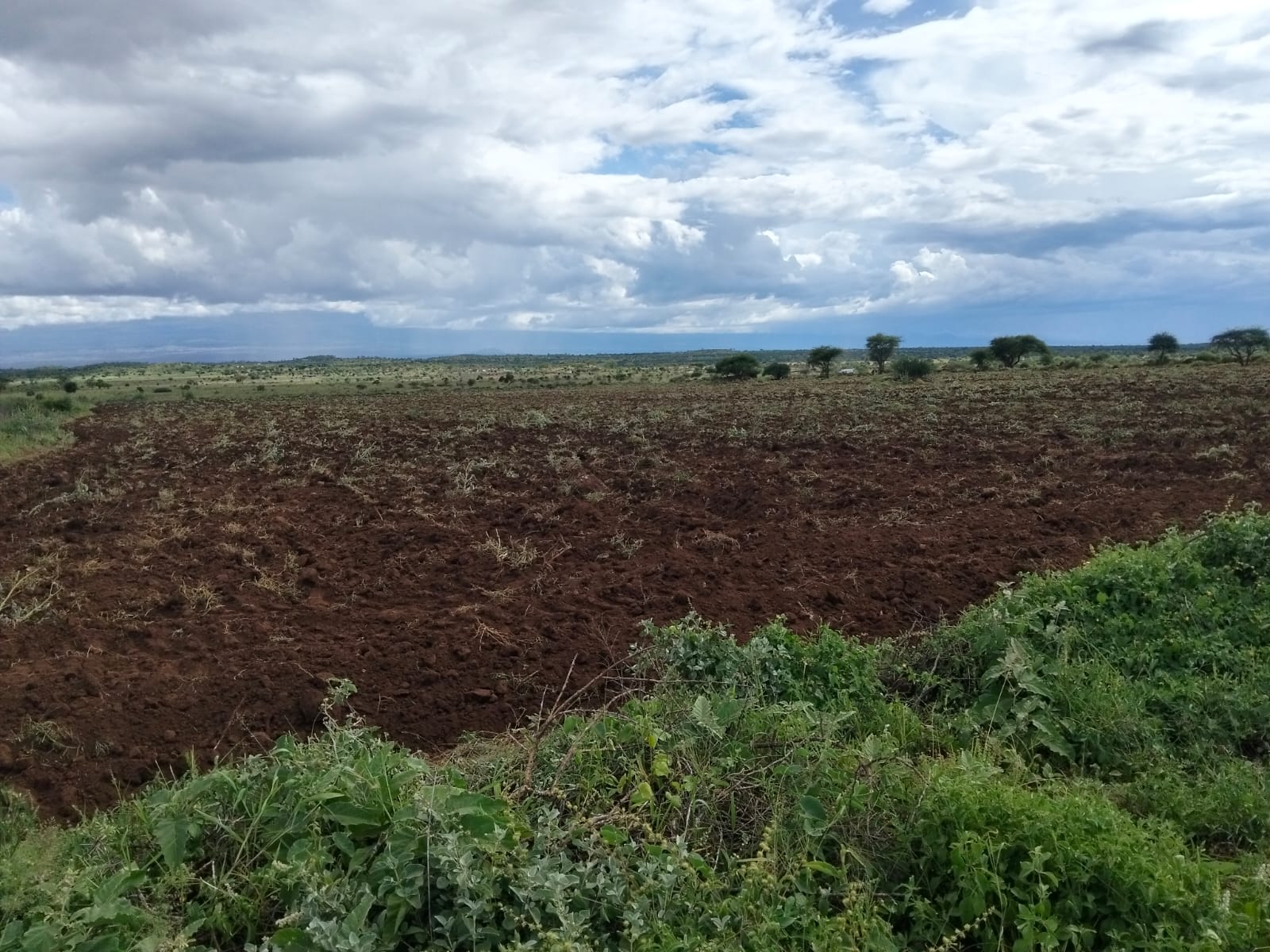 Freehold land for sale in Kimana with scenic Mount Kilimanjaro views