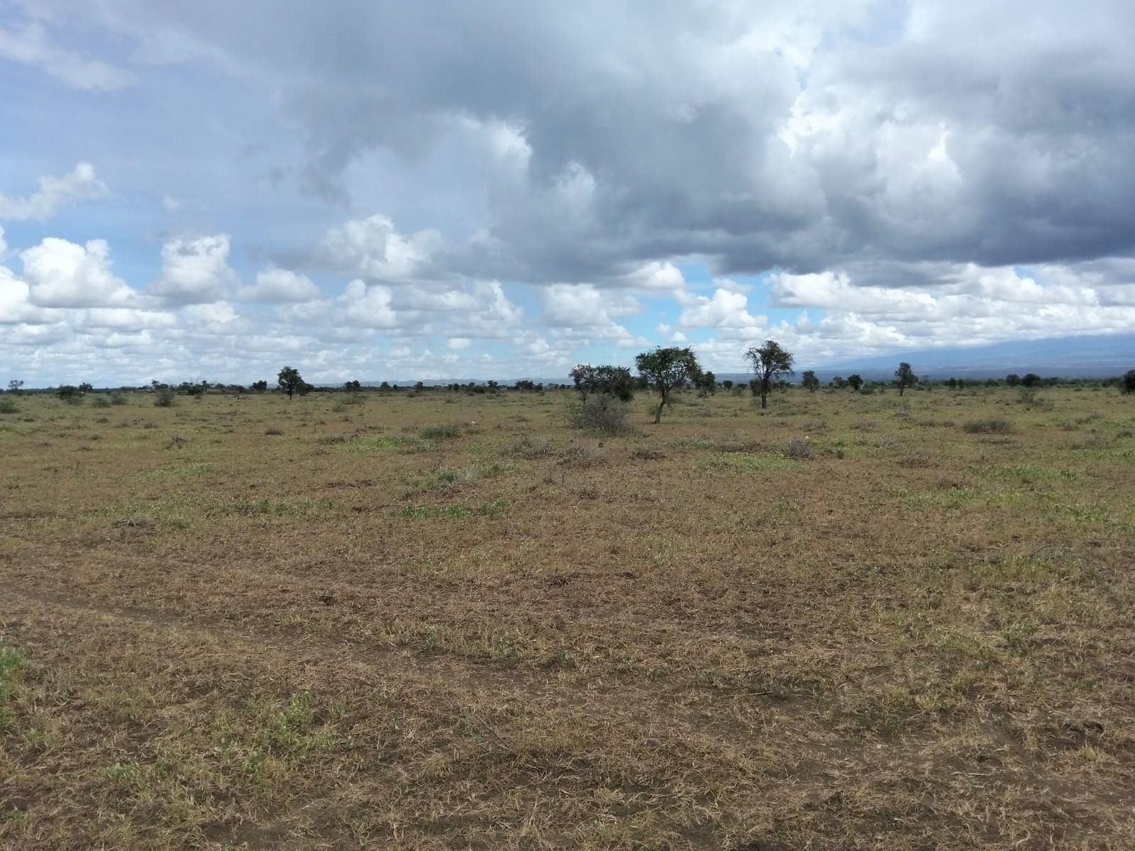 Freehold land for sale in Kimana with scenic Mount Kilimanjaro views