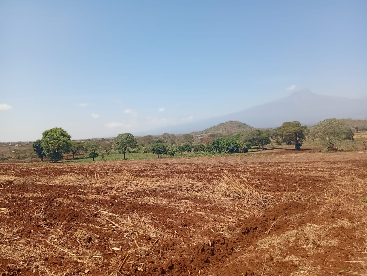 Freehold land for sale in Kimana with scenic Mount Kilimanjaro views