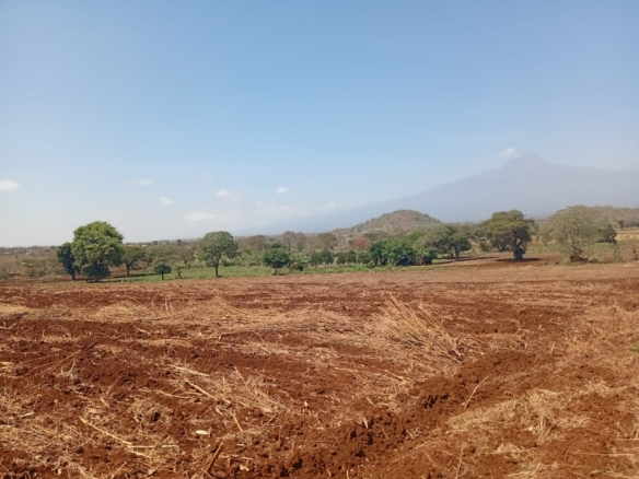 Freehold land for sale in Kimana with scenic Mount Kilimanjaro views