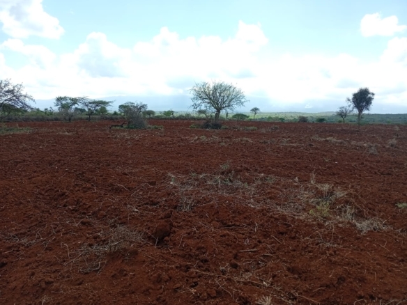 Freehold land for sale in Kimana with scenic Mount Kilimanjaro views