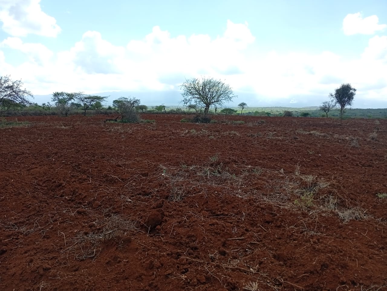 Freehold land for sale in Kimana with scenic Mount Kilimanjaro views
