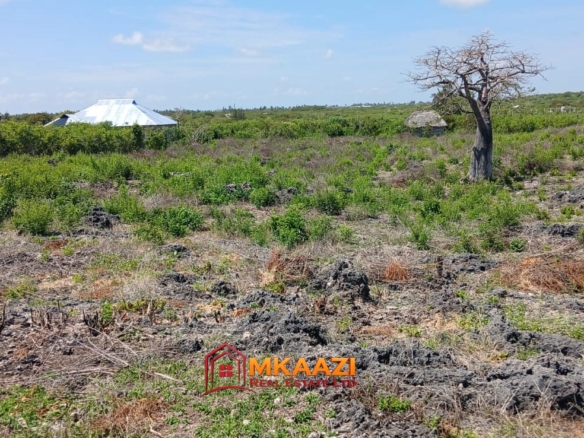 Prime 1 Acre Land for Sale in Jacaranda, Watamu – KSh 3.5 Million