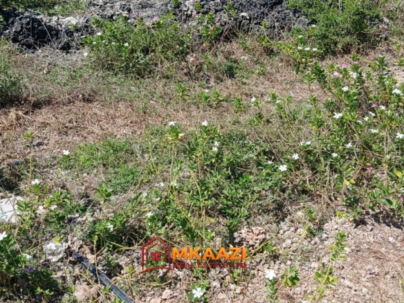 Prime 1 Acre Land for Sale in Jacaranda, Watamu – KSh 3.5 Million