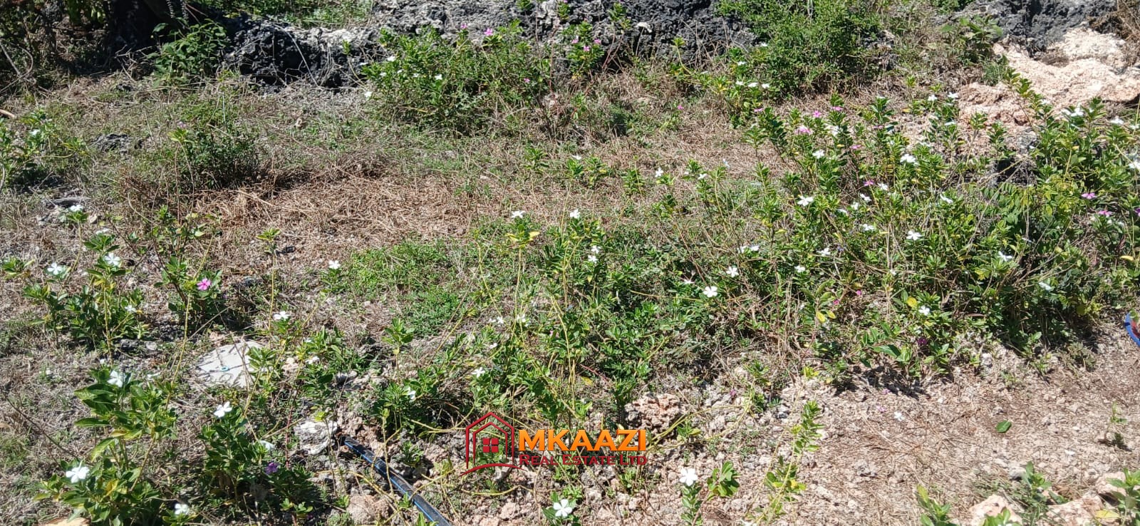 jacaranda 1 Acre (12) Prime 1 Acre Land for Sale in Jacaranda, Watamu – KSh 3.5 Million