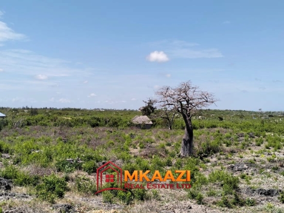 Prime 1 Acre Land for Sale in Jacaranda, Watamu – KSh 3.5 Million