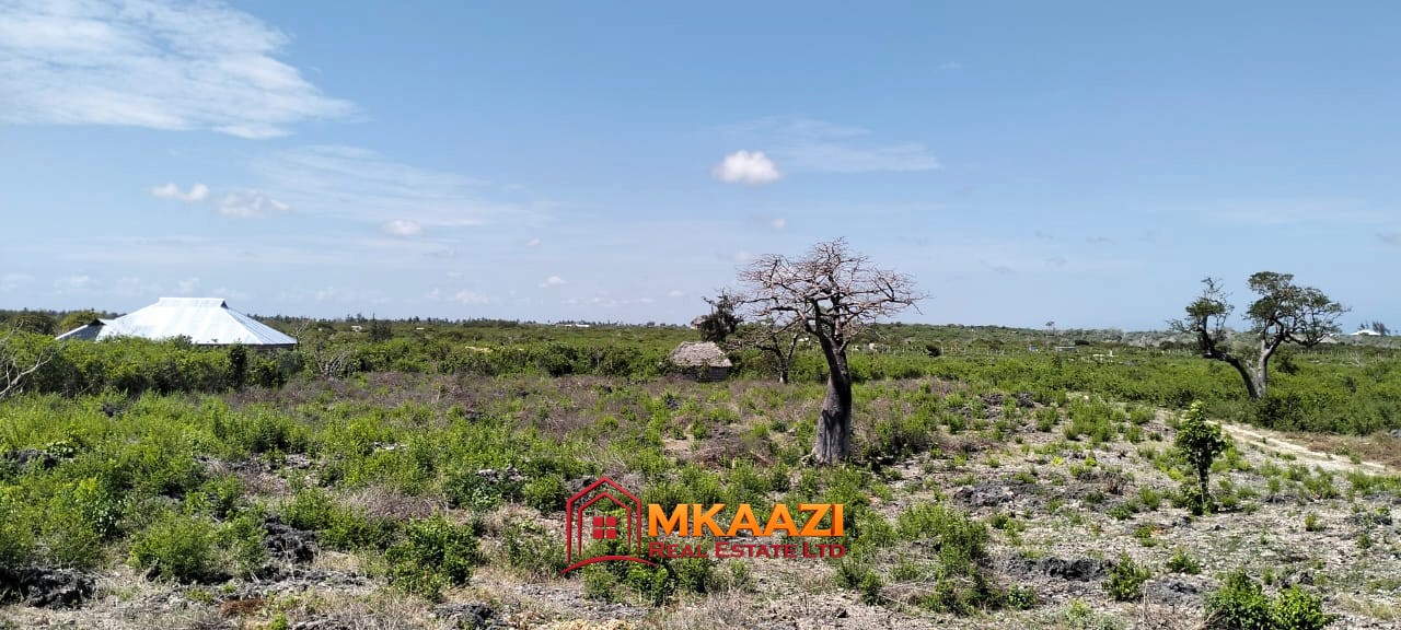 jacaranda 1 Acre (2) Prime 1 Acre Land for Sale in Jacaranda, Watamu – KSh 3.5 Million