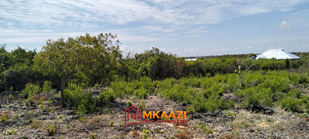 jacaranda 1 Acre (3) Prime 1 Acre Land for Sale in Jacaranda, Watamu – KSh 3.5 Million