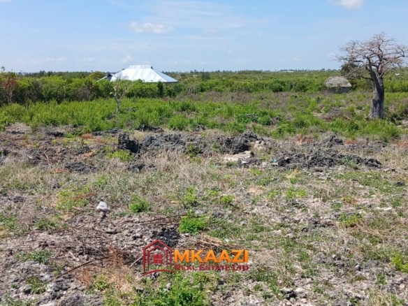 Prime 1 Acre Land for Sale in Jacaranda, Watamu – KSh 3.5 Million