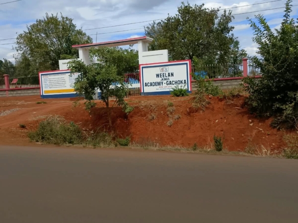 Roadside land investment opportunity in Gachoka, Embu County