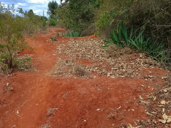 4.5 Acres for Sale in Gachoka Embu – Tarmac Road Frontage