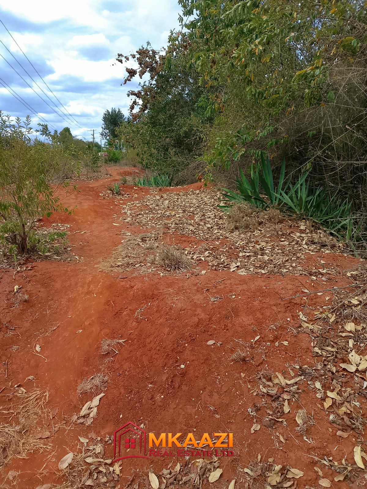 4.5 Acres for Sale in Gachoka Embu – Tarmac Road Frontage