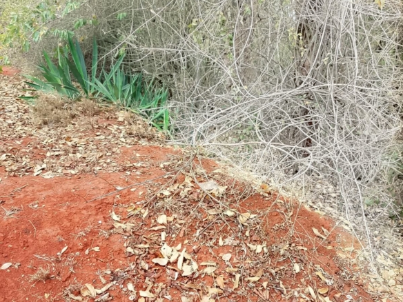 4.5-acre property bordering St Mary Girls School in Gachoka