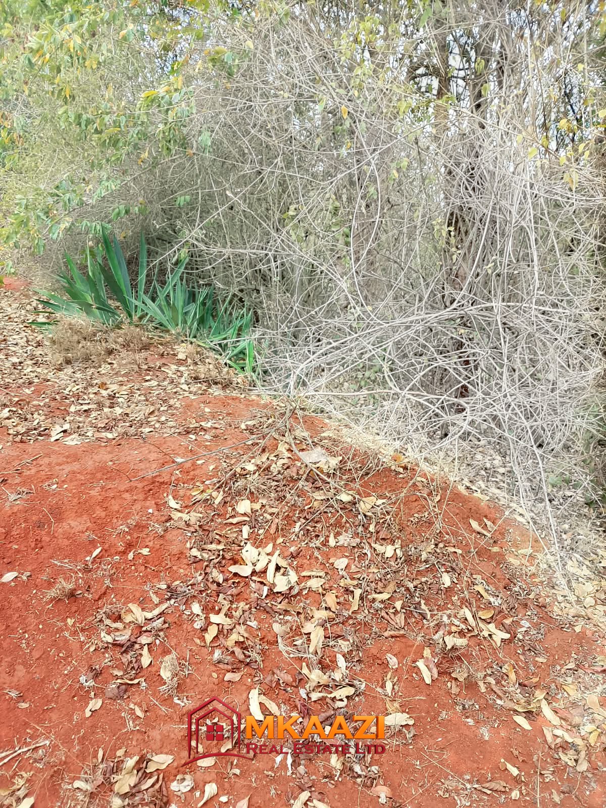 4.5-acre property bordering St Mary Girls School in Gachoka