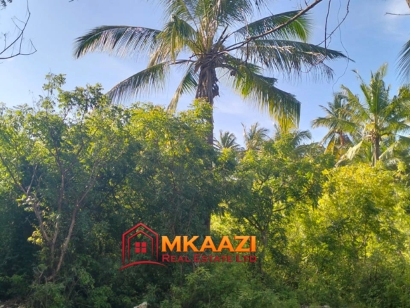 Prime 4.5-Acre Land for Sale Off Turtle Bay Road | KES 30M/Acre