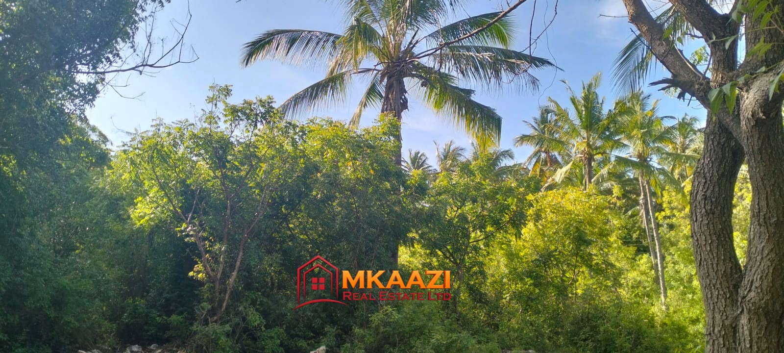 titleBay (1) Prime 4.5-Acre Land for Sale Off Turtle Bay Road | KES 30M/Acre