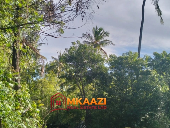 Prime 4.5-Acre Land for Sale Off Turtle Bay Road | KES 30M/Acre