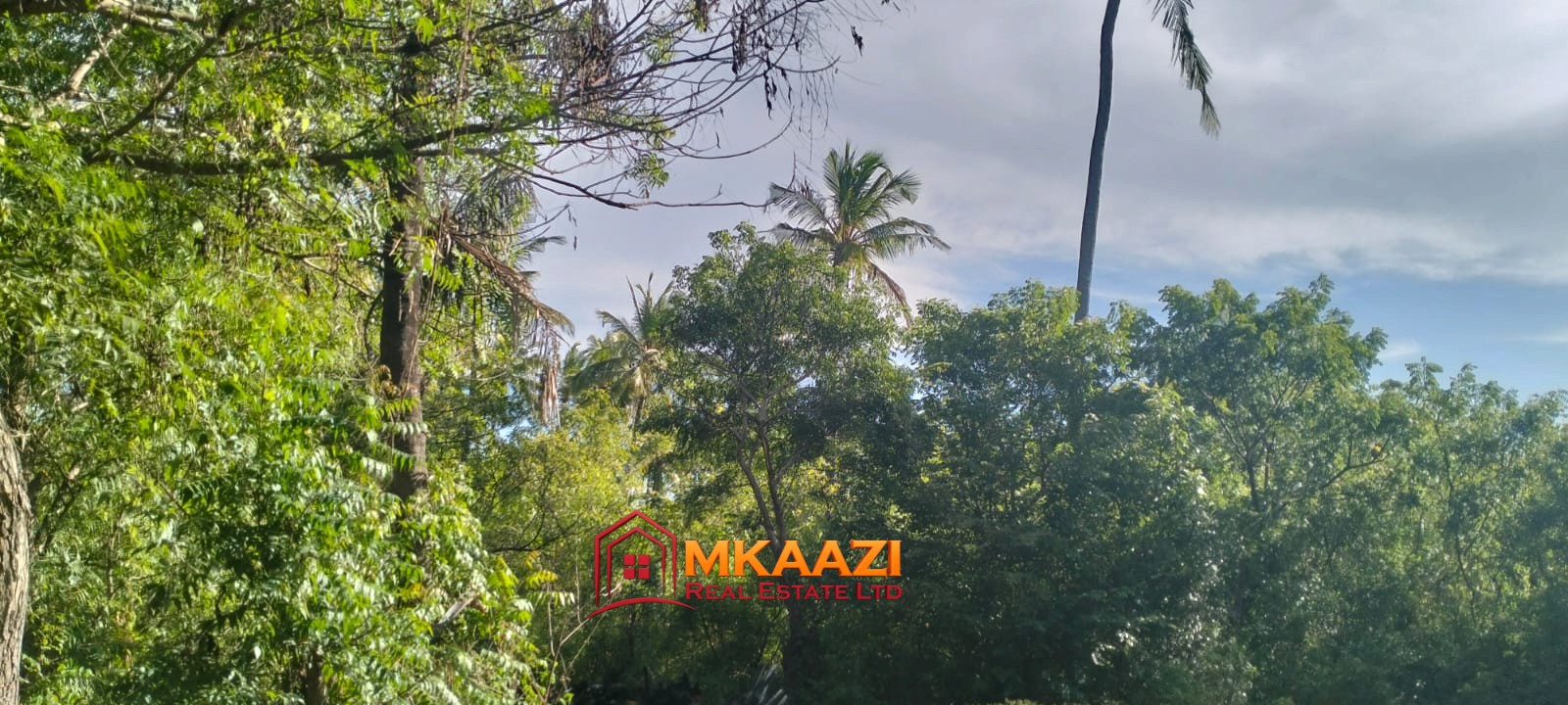 titleBay (3) Prime 4.5-Acre Land for Sale Off Turtle Bay Road | KES 30M/Acre