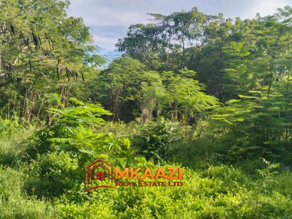 4.5-acre land for sale off Turtle Bay Road with mature coconut palms, lush vegetation, stone walls and an existing structure