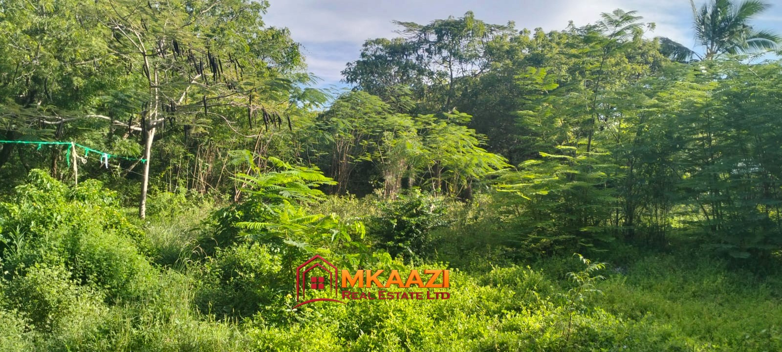 titleBay (4) 4.5-acre land for sale off Turtle Bay Road with mature coconut palms, lush vegetation, stone walls and an existing structure