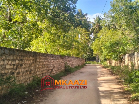 4.5-acre land for sale off Turtle Bay Road with mature coconut palms, lush vegetation, stone walls and an existing structure