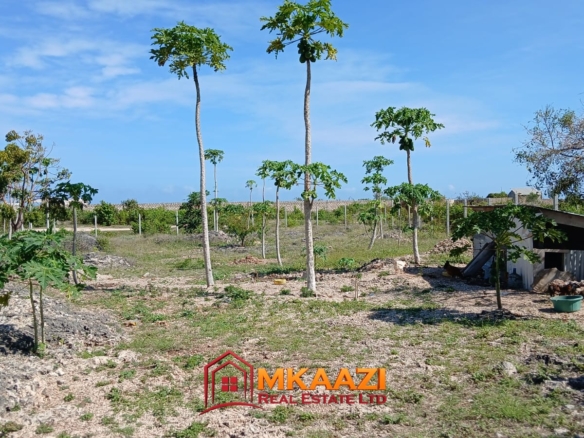 Fenced half-acre land for sale in Watamu with road frontag