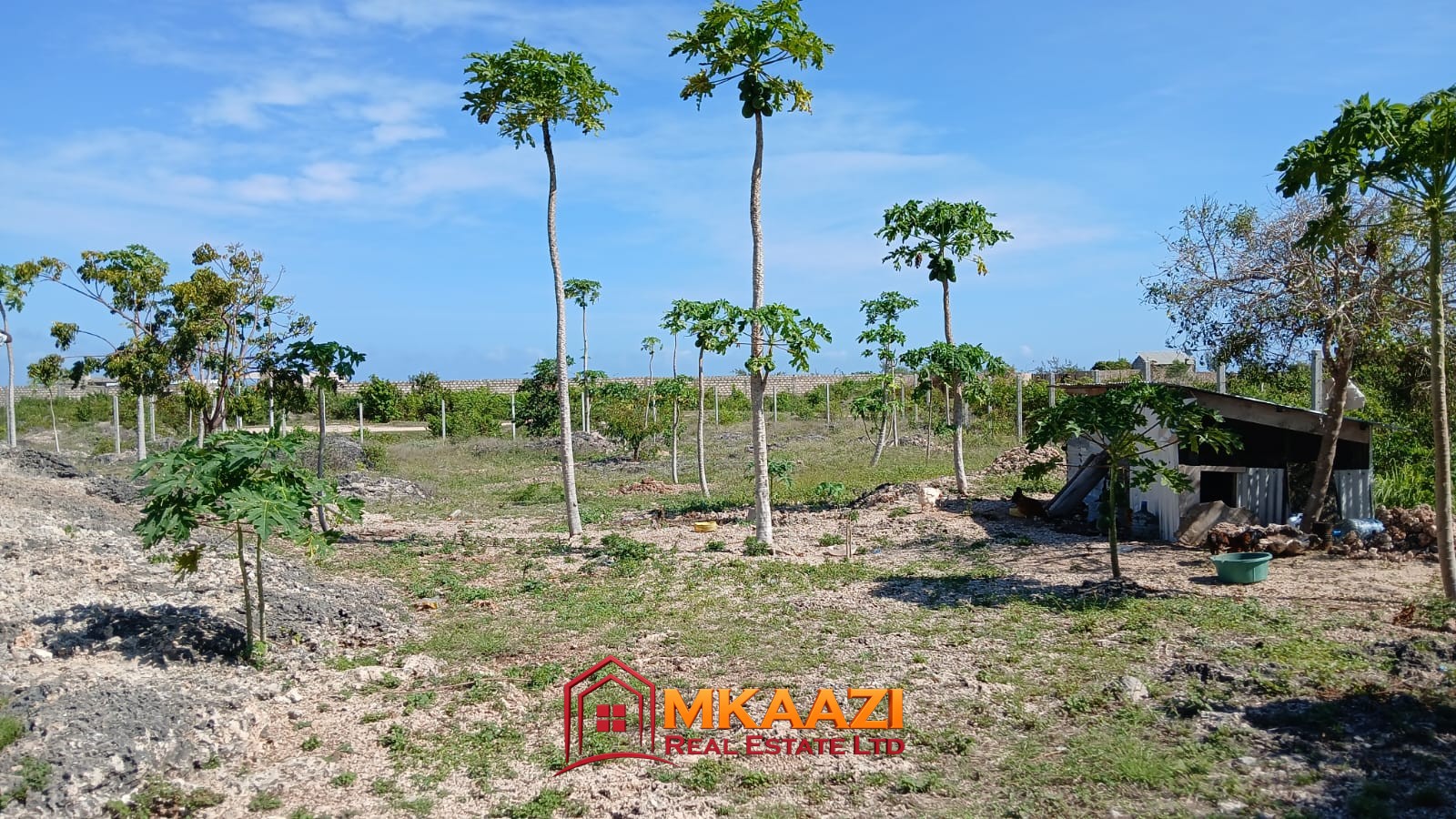 Fenced half-acre land for sale in Watamu with road frontag