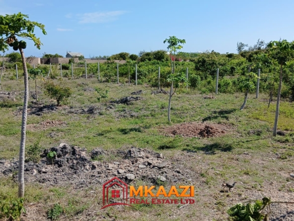 Half-acre plot in Watamu with piped water available on site