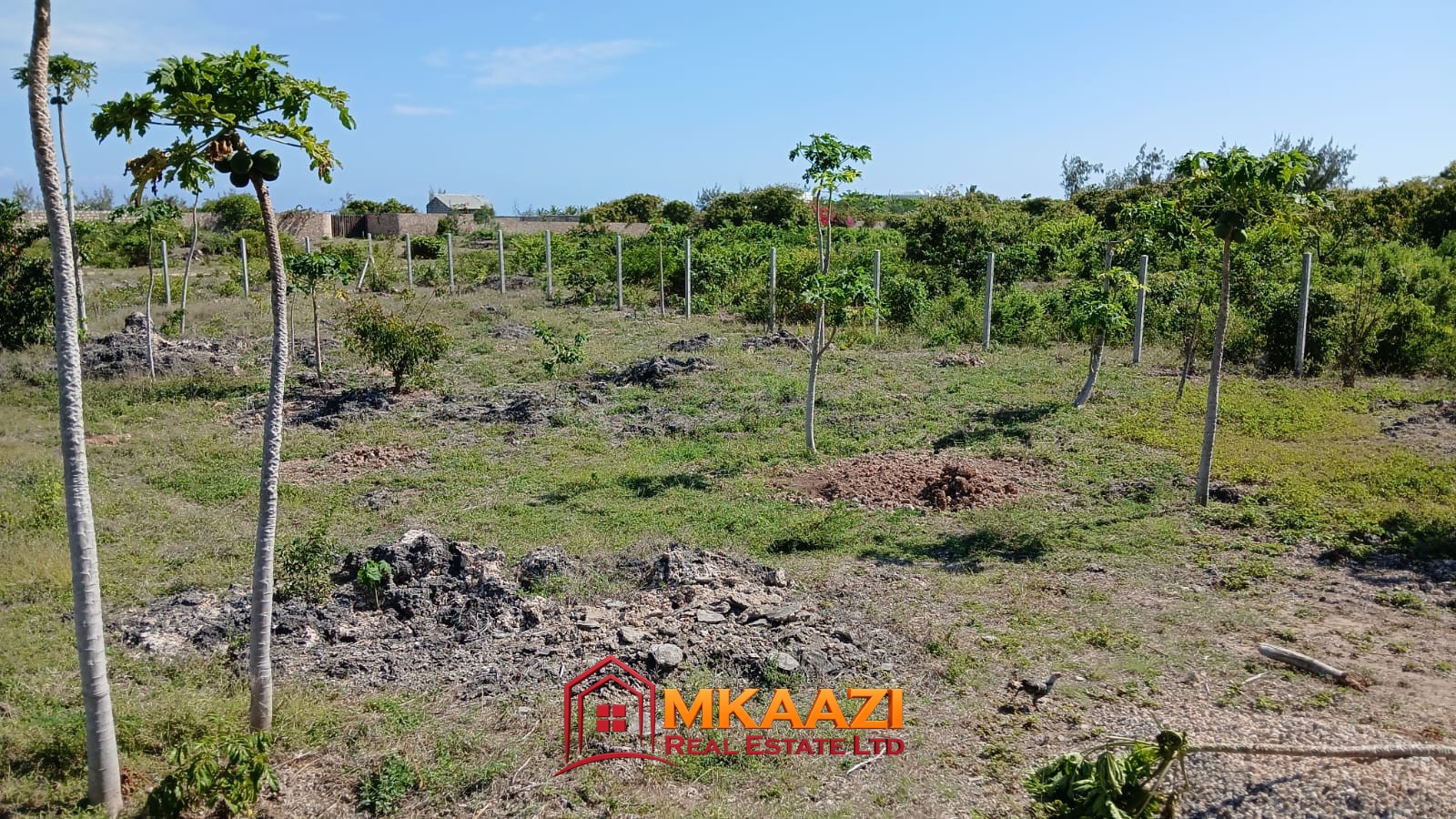 Half-acre plot in Watamu with piped water available on site