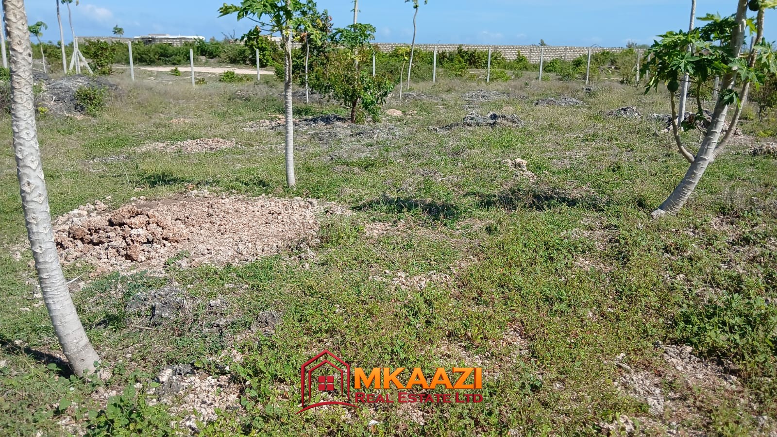 half-acre plot for sale in Watamu near Kanani Primary School