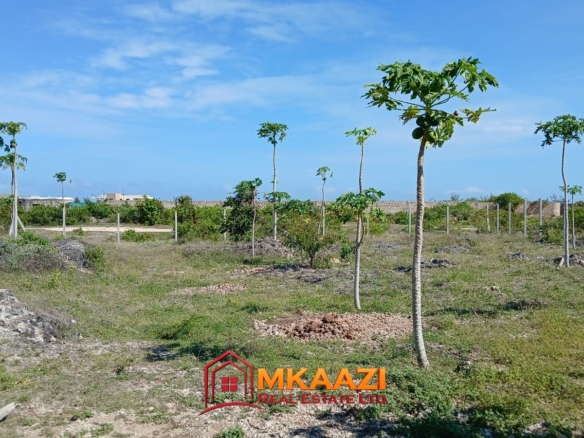 Half-acre investment land in Watamu with electricity nearby