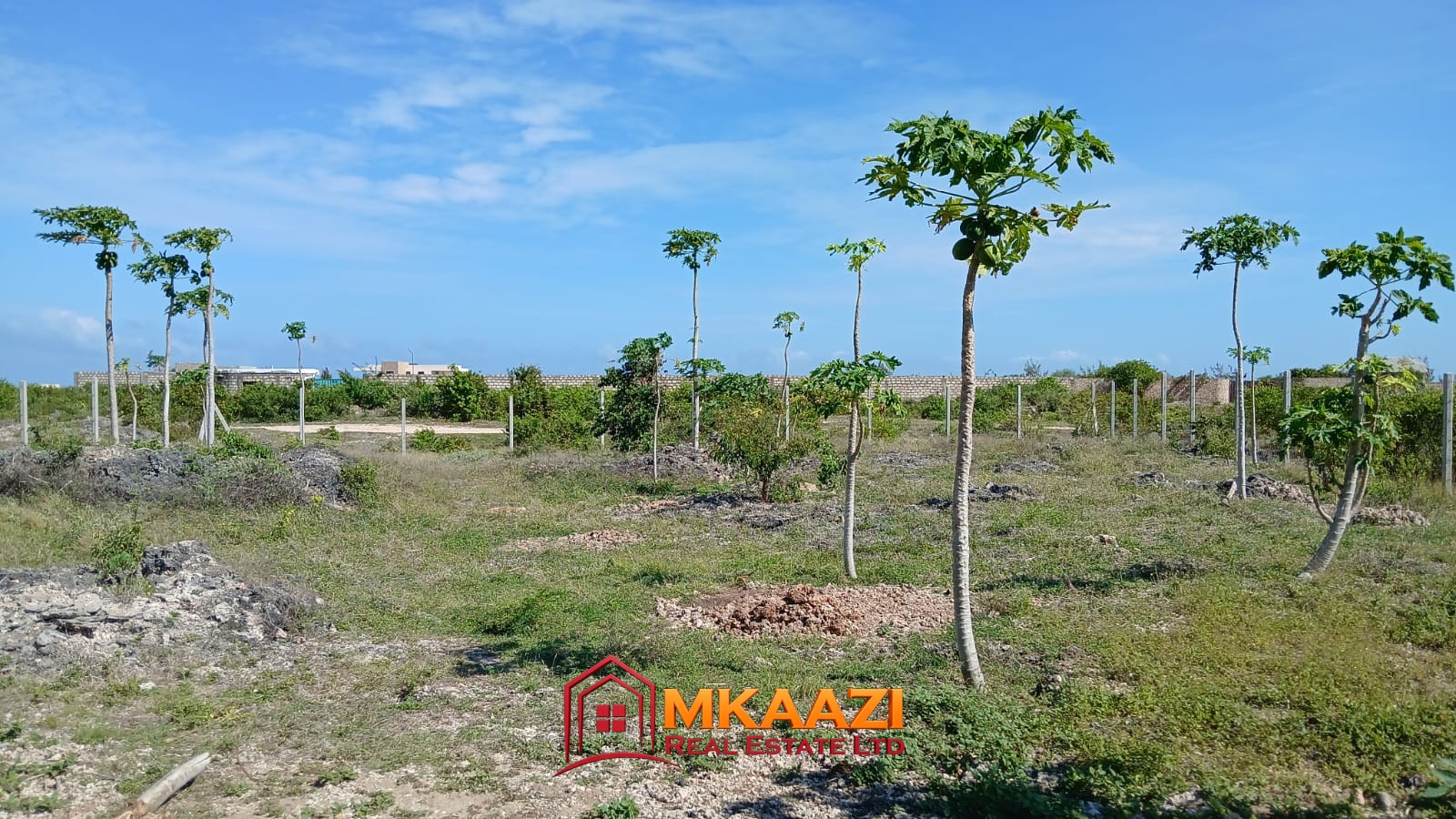 Half-acre investment land in Watamu with electricity nearby
