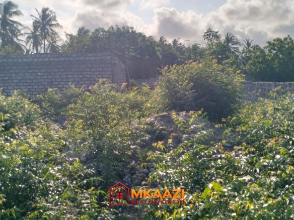 Half-acre walled plot for sale near Blue House, Watamu, Kilifi – KSh 16.5 million