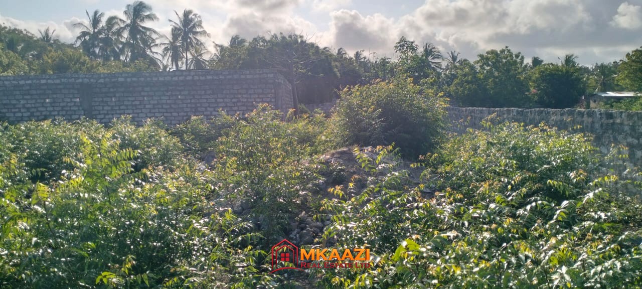 Half-acre walled plot for sale near Blue House, Watamu, Kilifi – KSh 16.5 million