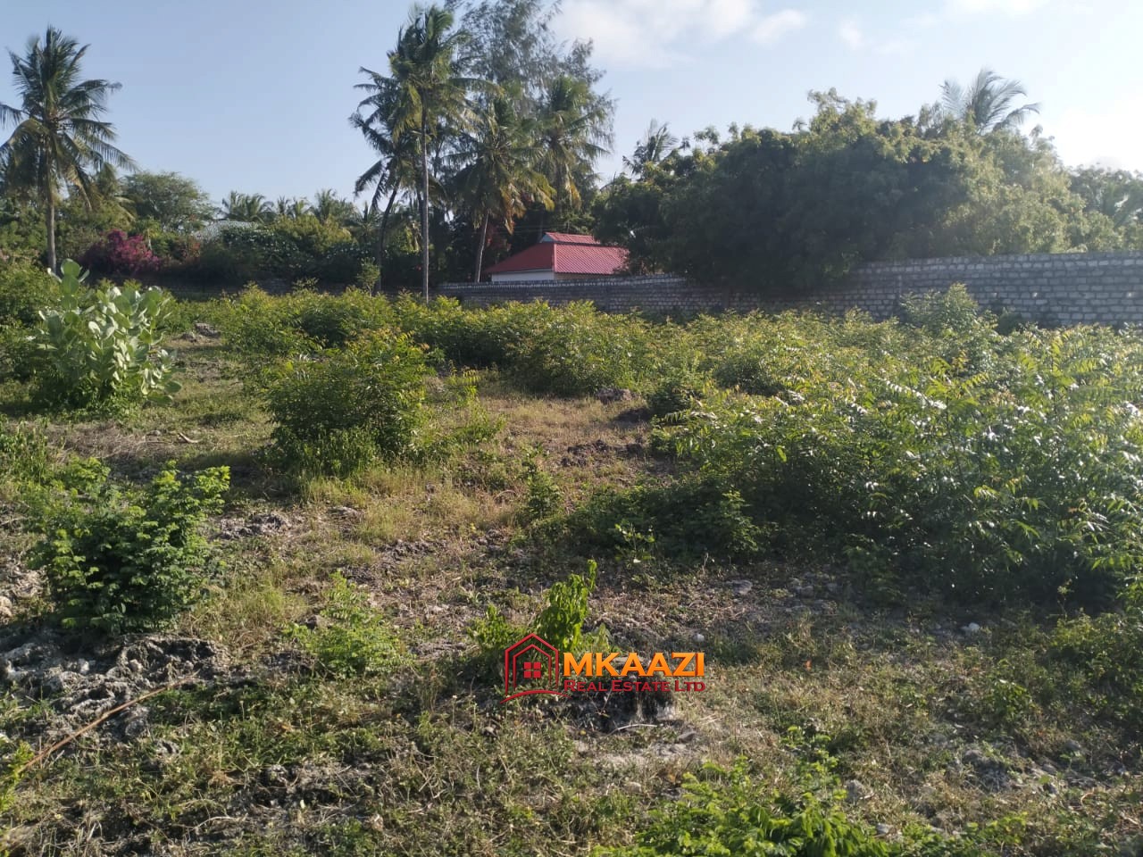 Half-acre walled plot for sale near Blue House in Watamu, Kilifi County